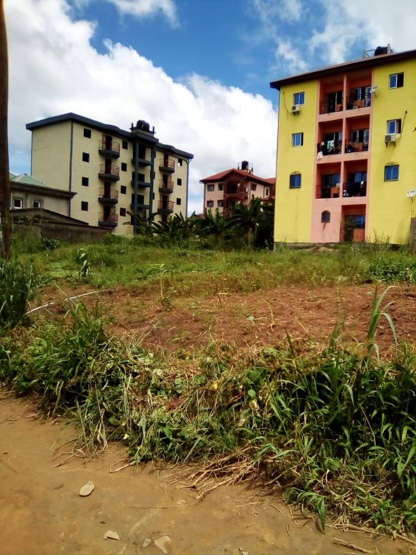 TERRAIN A VENDRE  HOMECM Annonces Immobilier Cameroun