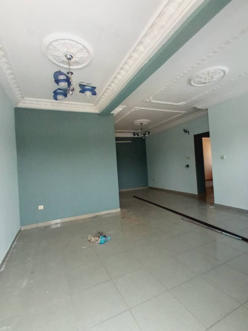 Appartement A Louer Akwa Nord Douala Homecm Annonces Immobilier Cameroun