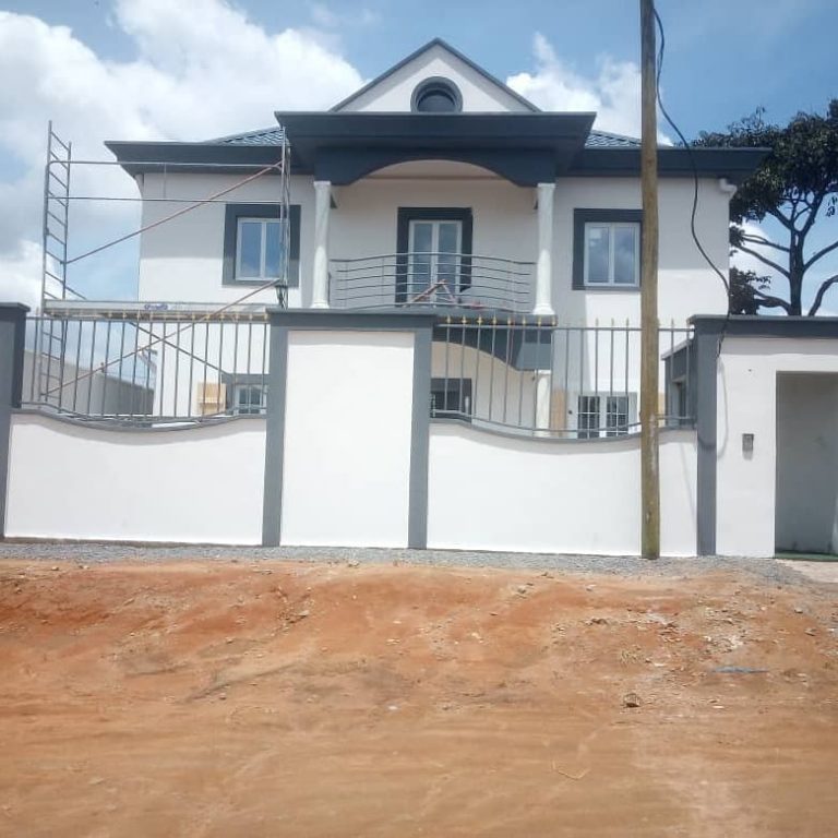 Duplex A vendre Douala Nyalla HOMECM Annonces Immobilier Cameroun